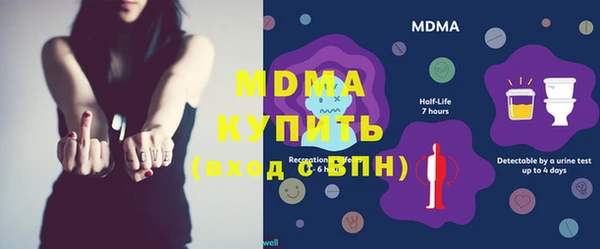 МДПВ Пересвет