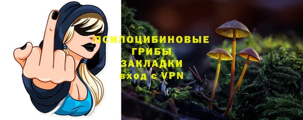 амф Бронницы