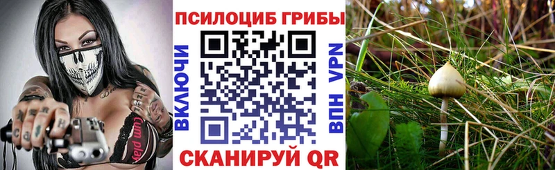 Галлюциногенные грибы ЛСД  Купить закладки  Бабушкин 